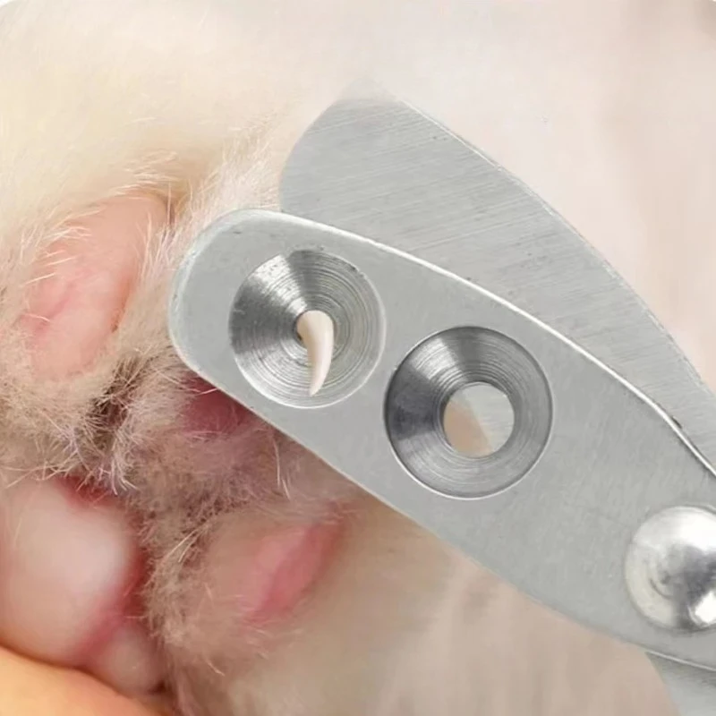 Professional Pet Nail Clippers Stainless Steel Pet Claw Cutter Grooming Tool for Small Cat Kitten Puppy Dog Nail Trimmer