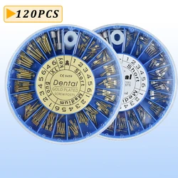 120Pcs Dental Screw Post Gold Plated Screw Post Stainless Steel Dental Materials for Dentist Tool Dentistry