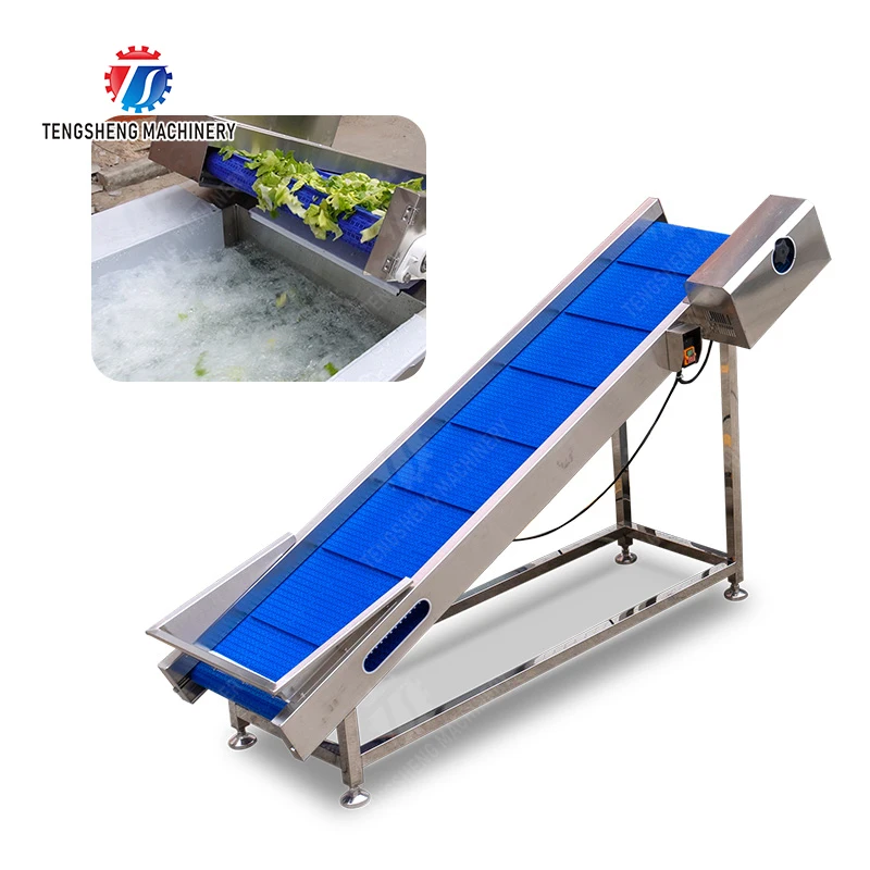 آلة مصعد الفاكهة للبيع بالجملة والتفاح الطازج والموز والبرتقال والعنب التعامل مع بناء متين من الفولاذ المقاوم للصدأ #5