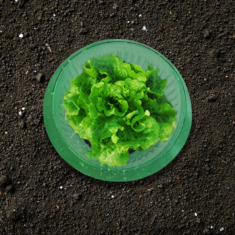 

Snail Collars Vegetables Covers Reusable Slug Plant Protection Collars Save Water for Protects Plants To Get Better