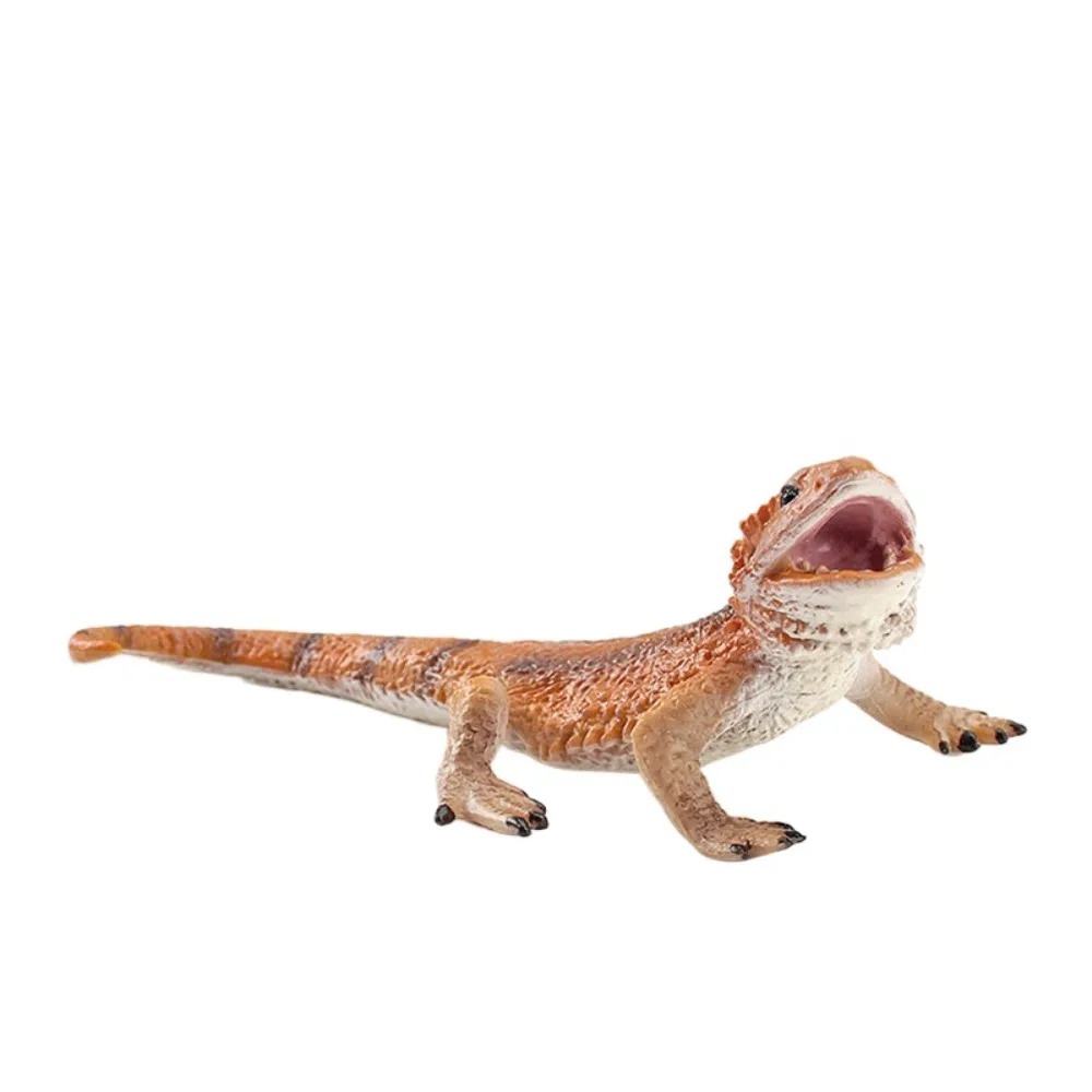 

Моделирование из ПВХ, модель дикой рептилий, статуя ручной работы, фигурки ящерицы, ремесла, мультяшные статуэтки-амфибия для рептилий