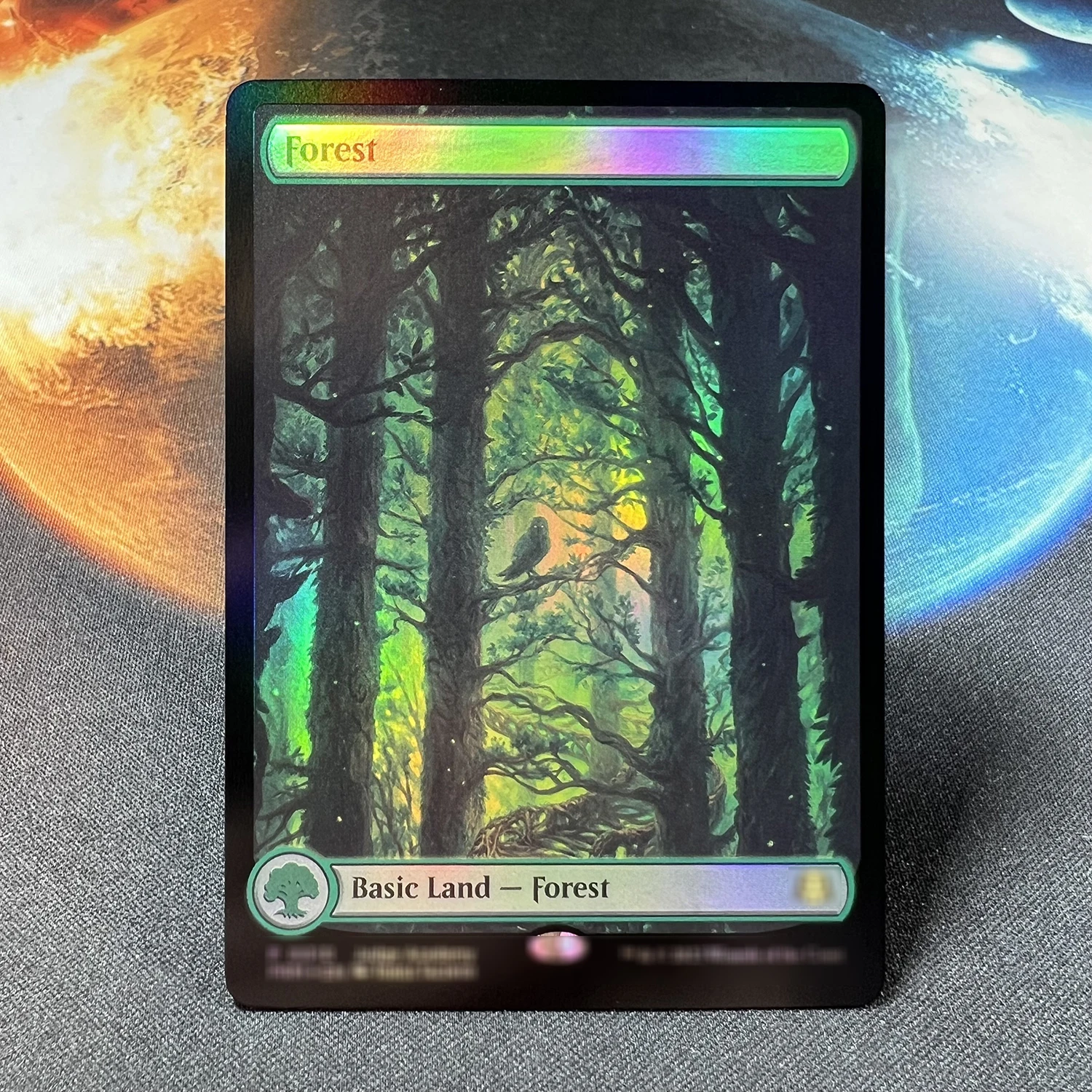 FOIL FETCH LANDS Arid Mesa Misty Rainforest Polluted Delta Windswept Heath ZNE Judge Gift 2023 Island Forest Swamp English Card