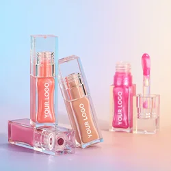 Private Label Lip Gloss Pigment Long-lasting Waterproof Matte Glossy Custom Logo Makeup Wholesale P238 Transparent Square Tube