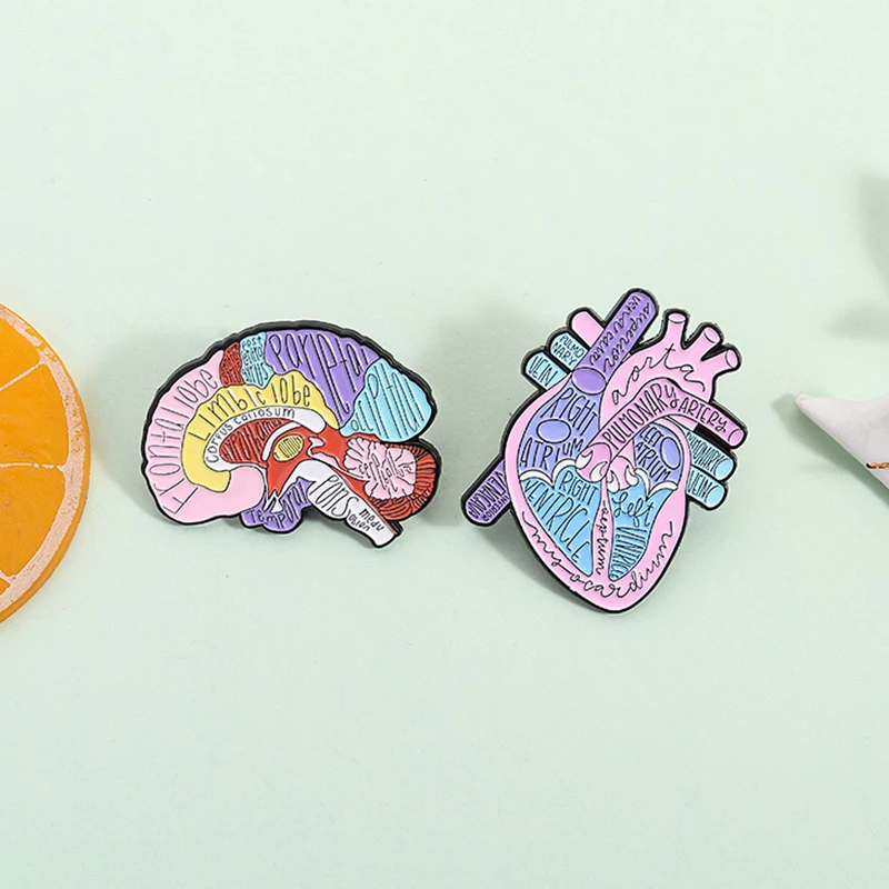 Broches en émail d'anatomie du - Medical Laboratory Science avis et prix