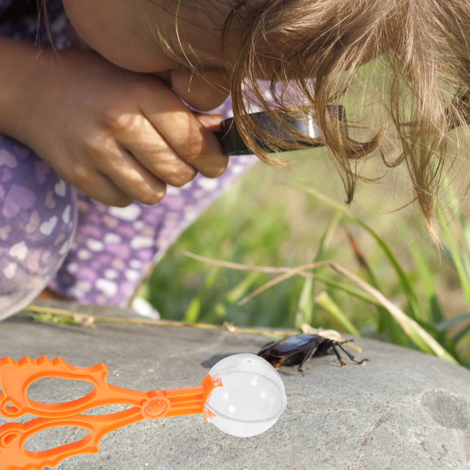 5 Pezzi Pinze e Forbici Arcoba - Kids Outdoor Learning Activities recensione e prezzo