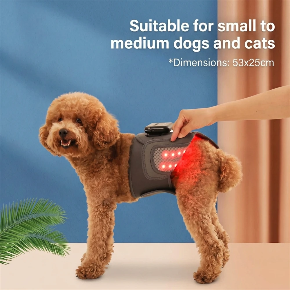 48 LEDs Pet Red Light Therapy Pad 630nm 850nm Infrared Dog Arthritis Relief 2000mAh Rechargeable Cat Joint Care Recovery Belt