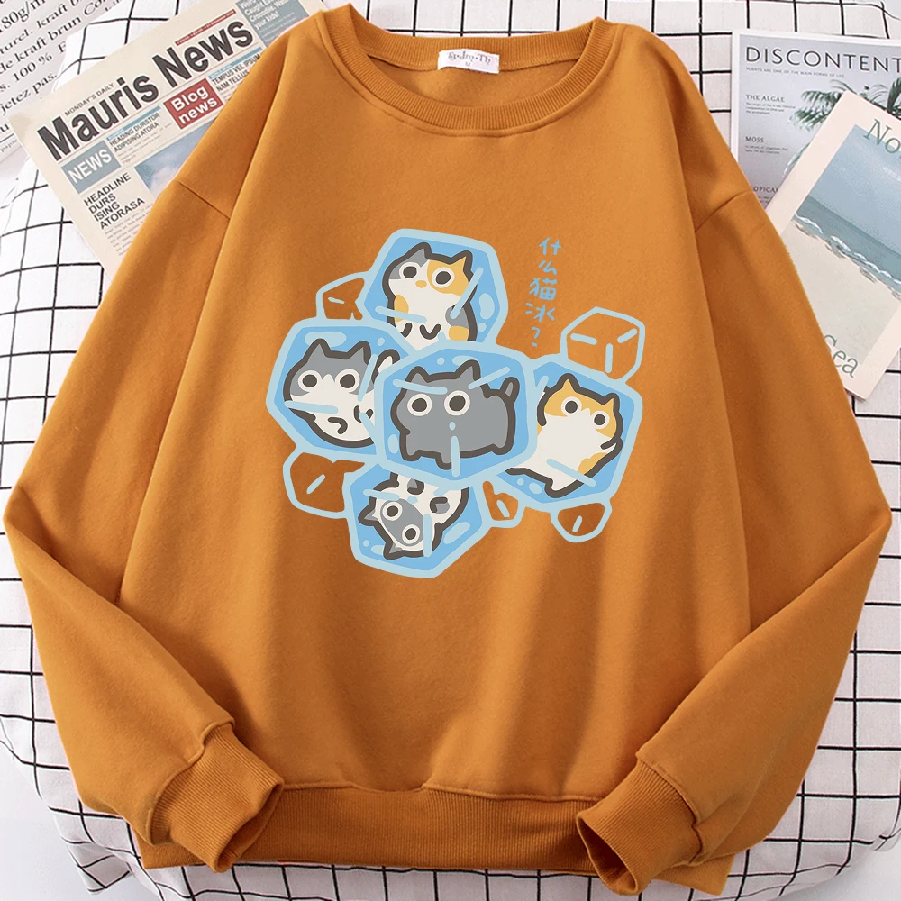 Ice Cat Fun Cartoons Cats Cute Print Sweatshirt Men Women Harajuku Crewneck Hoodie Autumn Prints Sportswear Hip Hop Loose Hoody