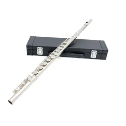 SLADE 16 Holes C Tone Flute With E Key Closed Key Professional Woodwind Instrument Cupronickel Tube Flute With Beginner Kit Box