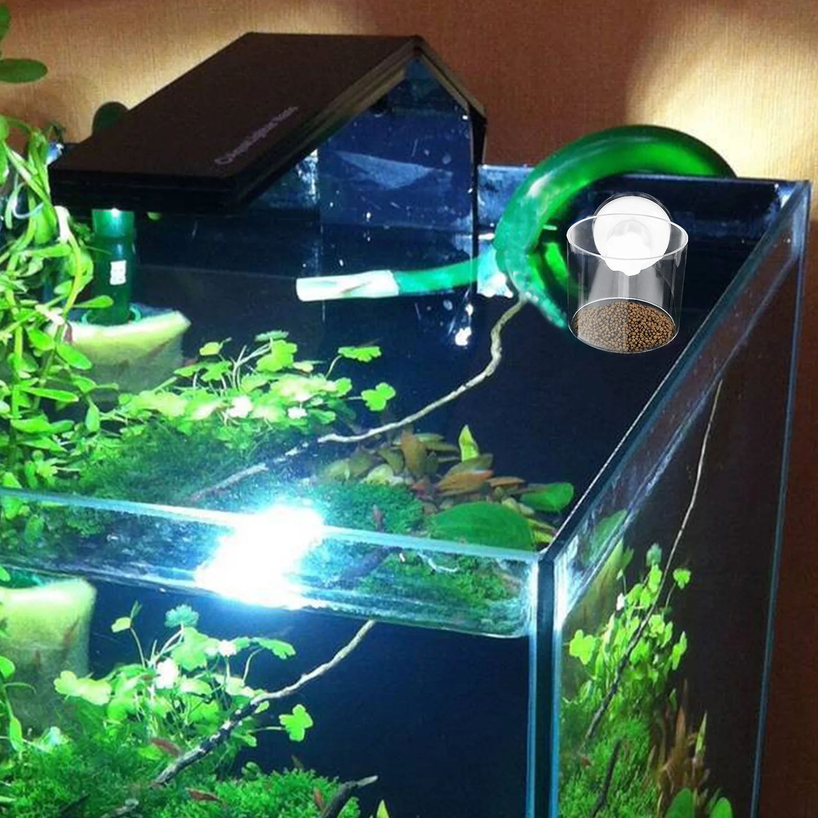 

2pcs Aquarium Ring Floating Feeder Freshwater Saltwater Tank Supplies Fish Feeding Holder Tank Accessories Fish Feeding Supplies