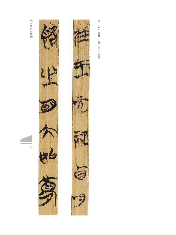 Libro-Winshare Tsinghua Estados de guerra Bambú Bambú Slips