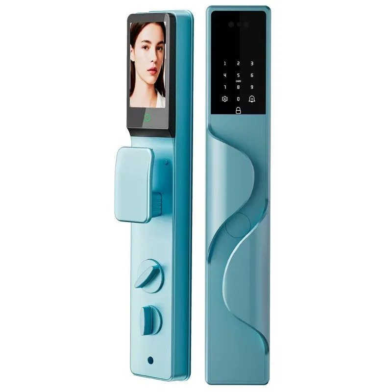 Waterproof fingerprint password facial recognition home graffiti electronic lock remote high quality intelligent