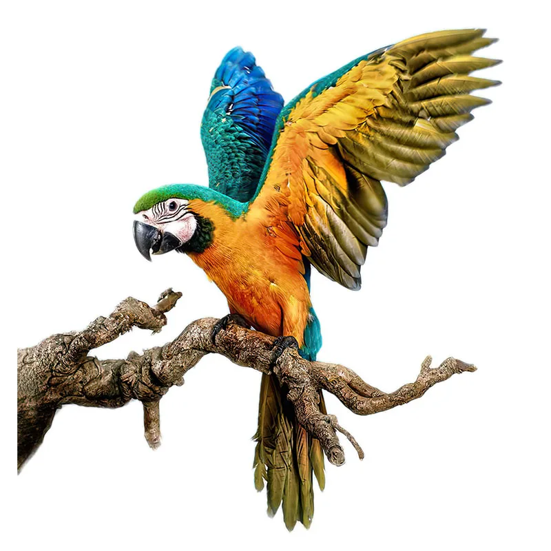 T148# Hand painted Parrot Wall Sticker Bathroom Toilet Decor Living Room Cabinet Home Decoration Decals
