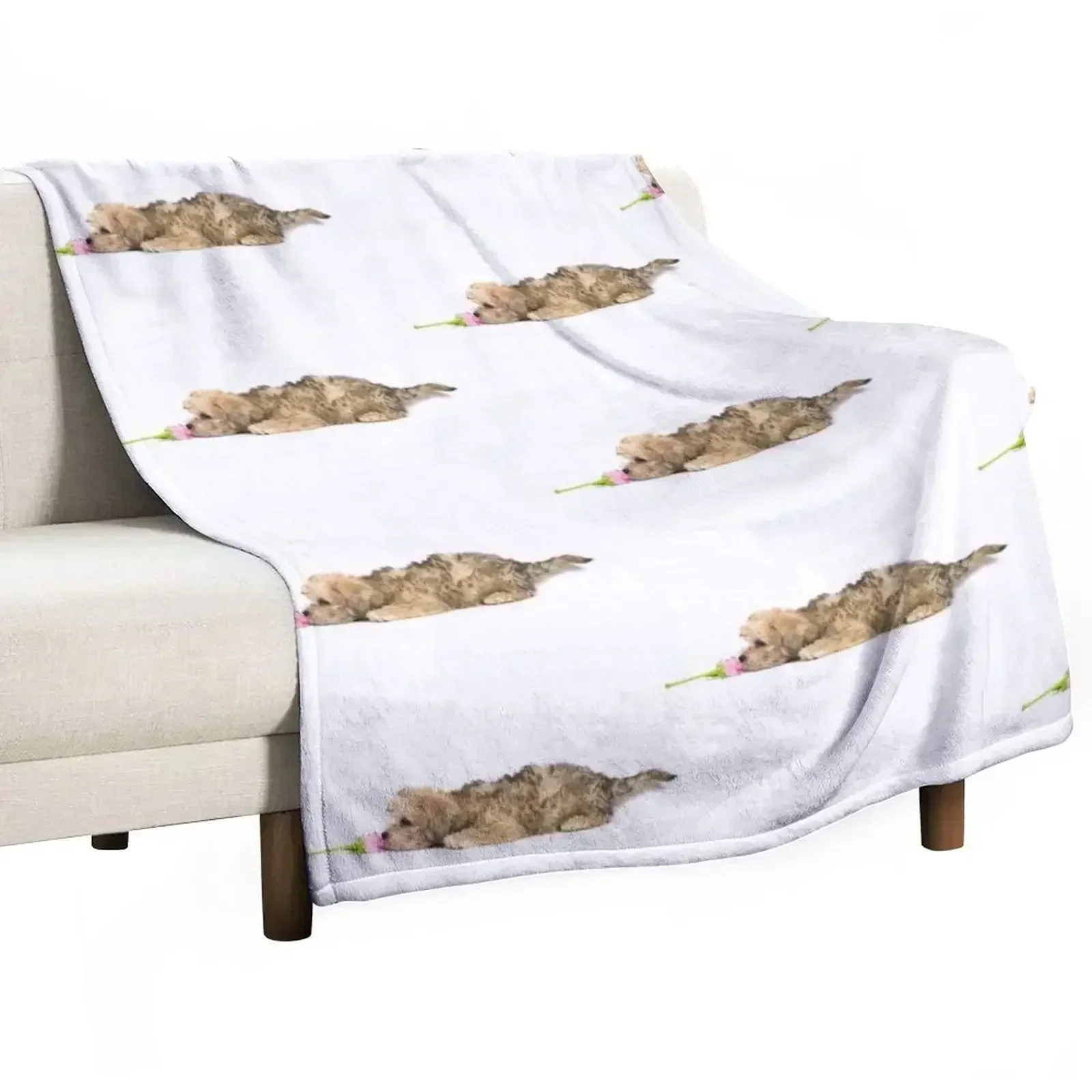 Mustard Dandie Dinmont Terrier Puppy Throw Blanket Heavy Hairy wednesday heavy to sleep Shaggy Decoratives Blankets