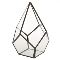 Geometric Shape Pot Terrarium Box Succulent Plant Display Case Holder