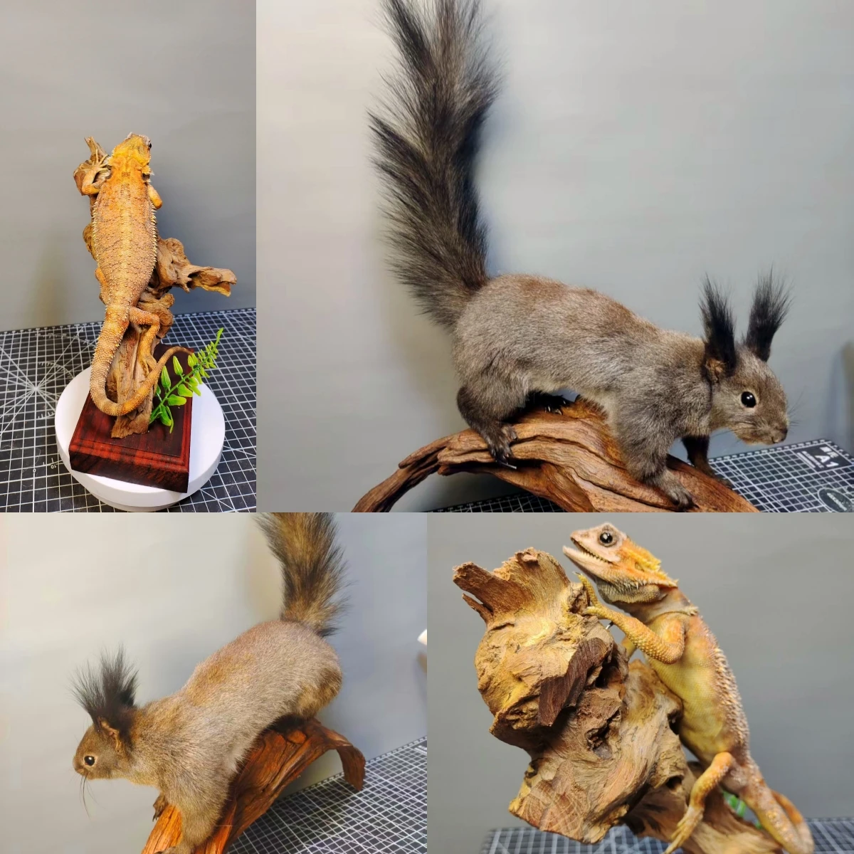 2056 Lizard Sculpture Resin Animal Specimen Art Home Decor Handmade Craft for Reptile Collectors Gothic Halloween Christmas Gift