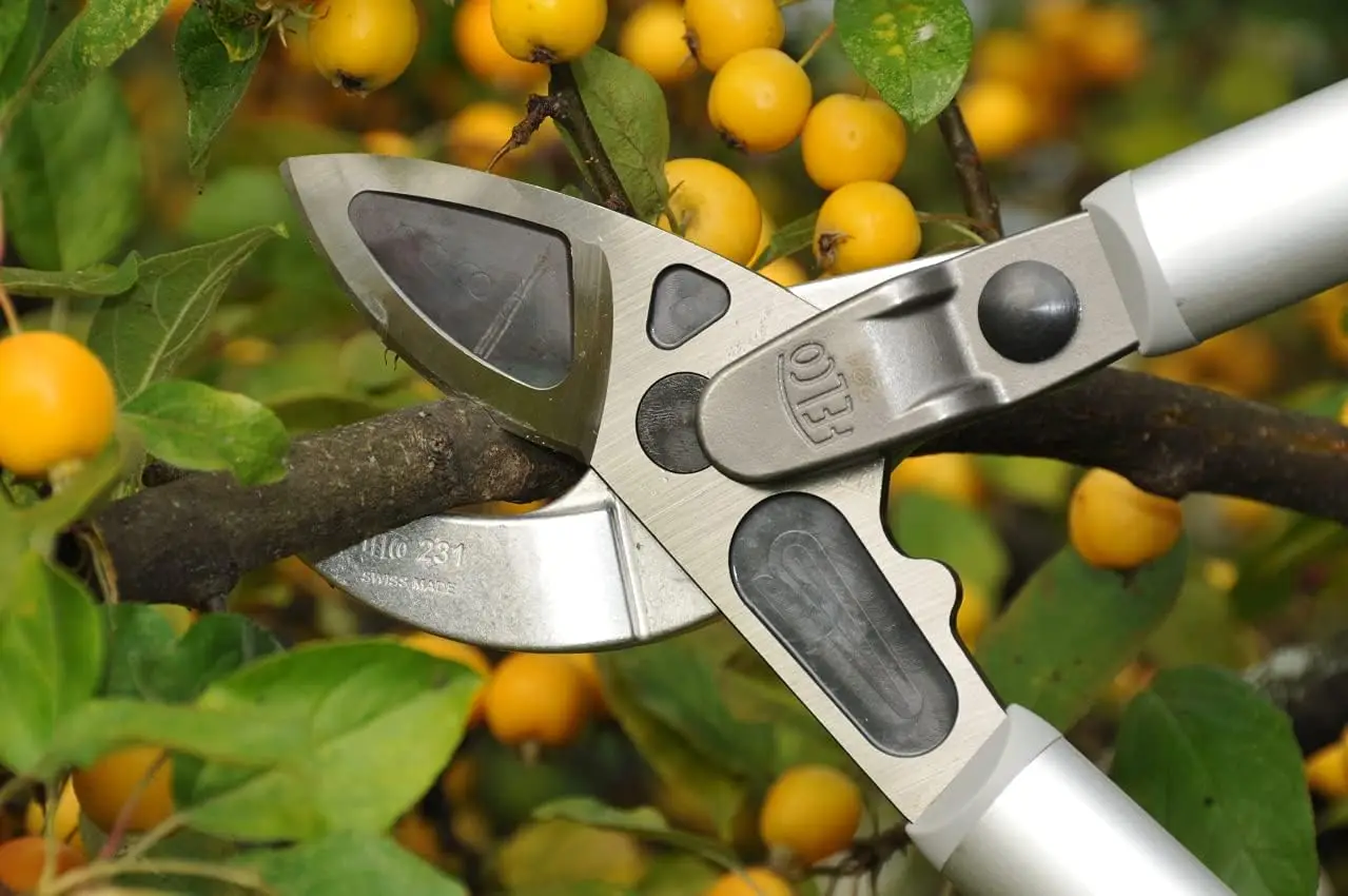 Poda cisalhamento, 231