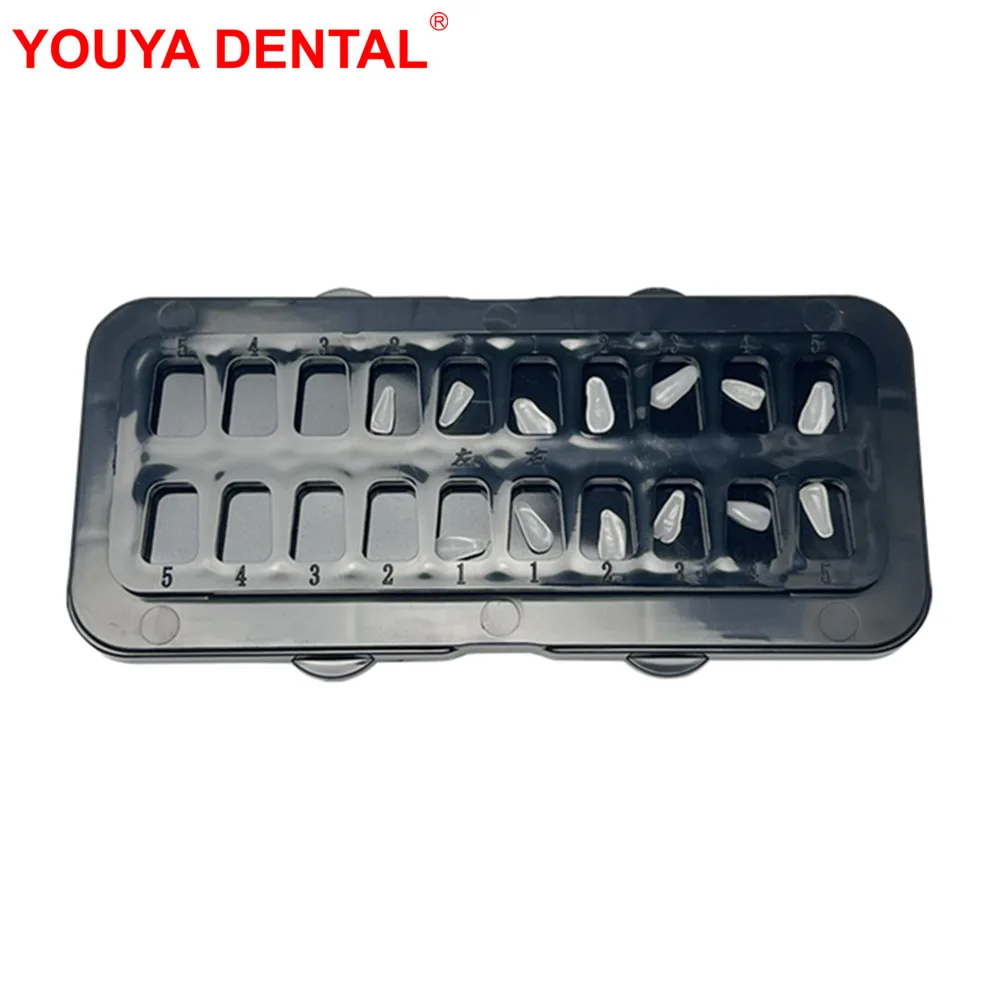 New Dental Veneer Pretreatment Patch Tooth Box Dentist All Ceramic Treatment Box Denture Storage Case Arrangement Cleaning Tools