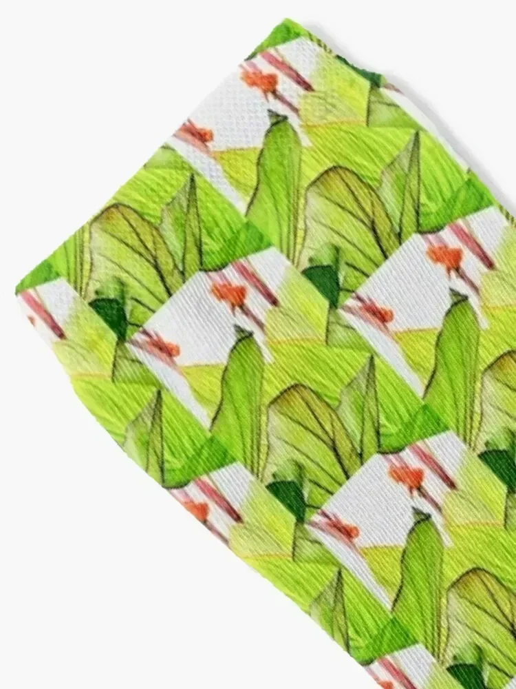 Canna for Save Soil Socks designer brand hiphop crazy Running Socks For Men Women's