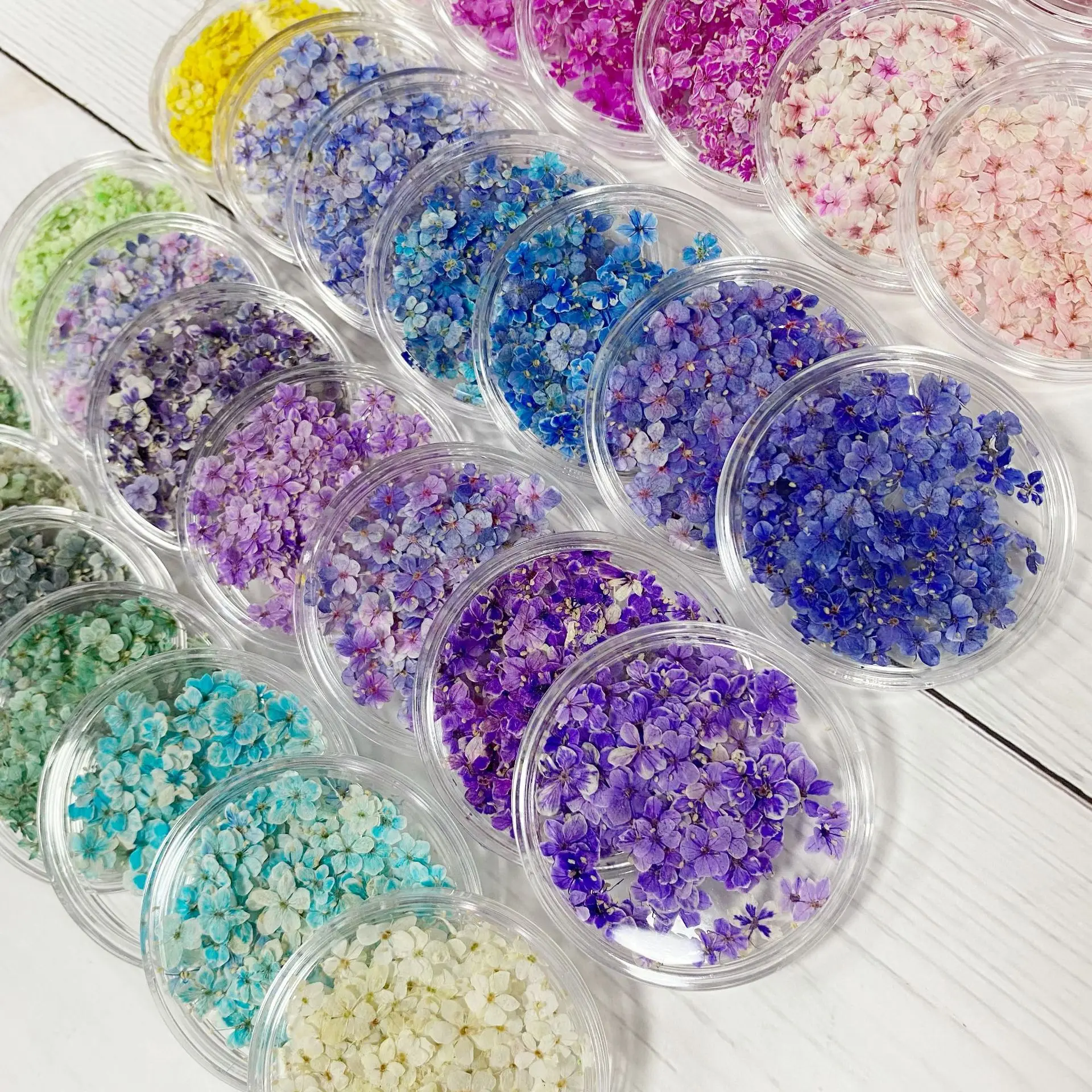 

50Pcs Japanese-Style Ins Mini Nail Art Dried Flowers 35 Colors Pressed Dried Flower Set Popular Natural Jade Flower DIY Nail Decoration Materials Phone Case Bookmark Accessories