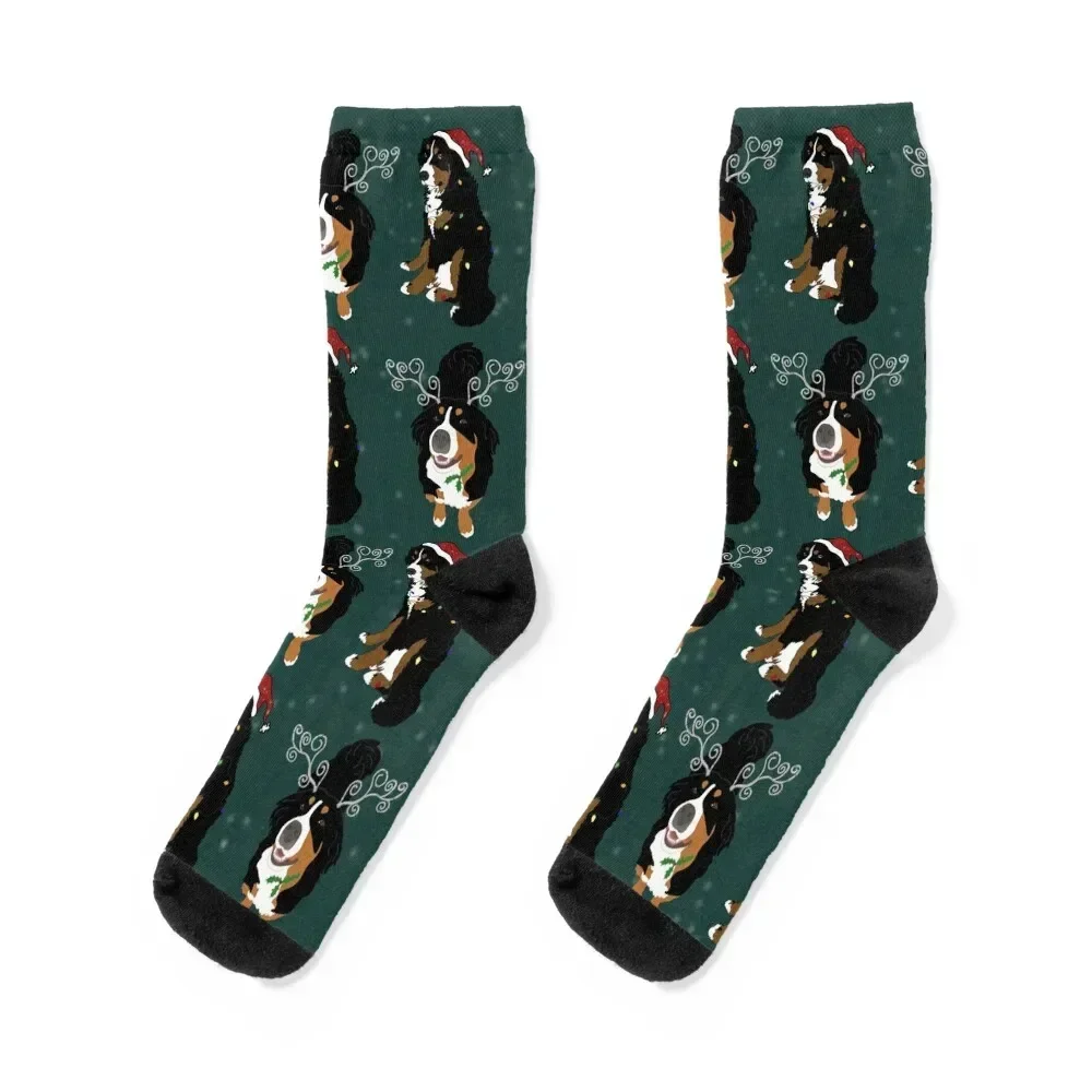 Christmas Holiday Bernese Mountain Dog Pattern-Green Socks cartoon Stockings man Designer Man Socks Women's