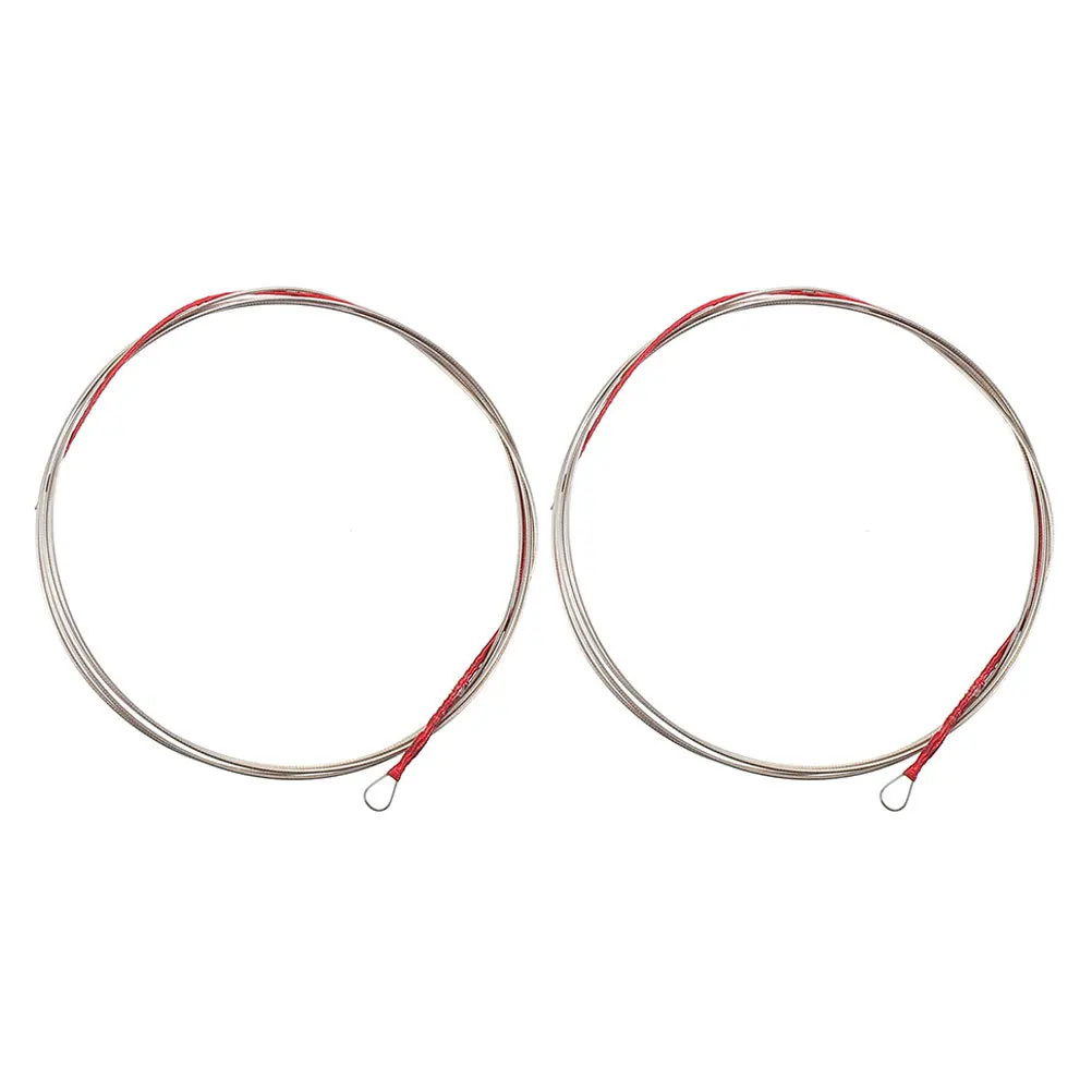 

2Pcs Pipa Strings High Durability Chinese Lute String Accessories Ideal Lute Practice String Replacement Tool Pipa Parts