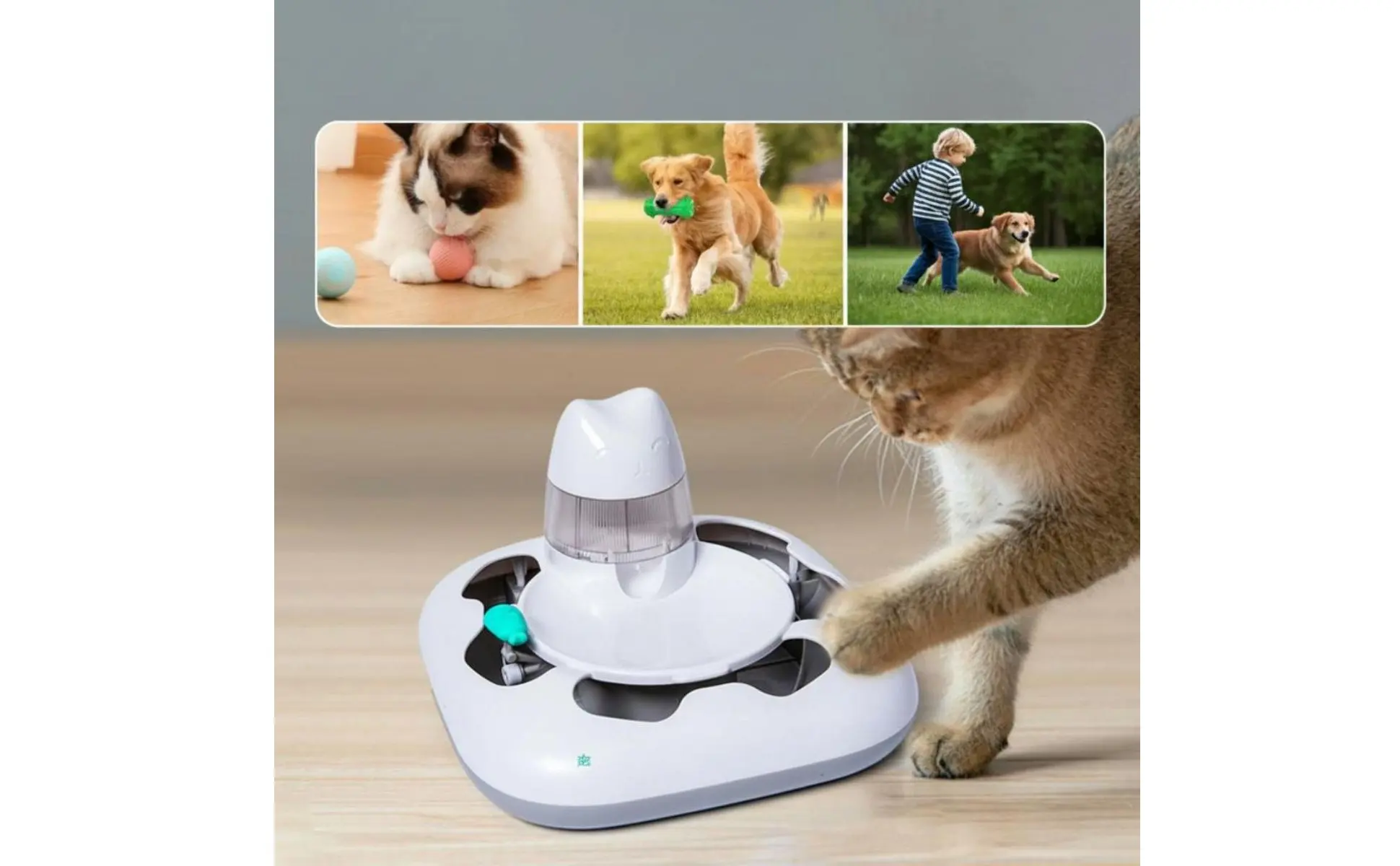 Cat Hunting Game Machine Interactive Play Automatic Cat Toy Electronic Pet Treat Dispenser Random Movement Anti-Rollover Design