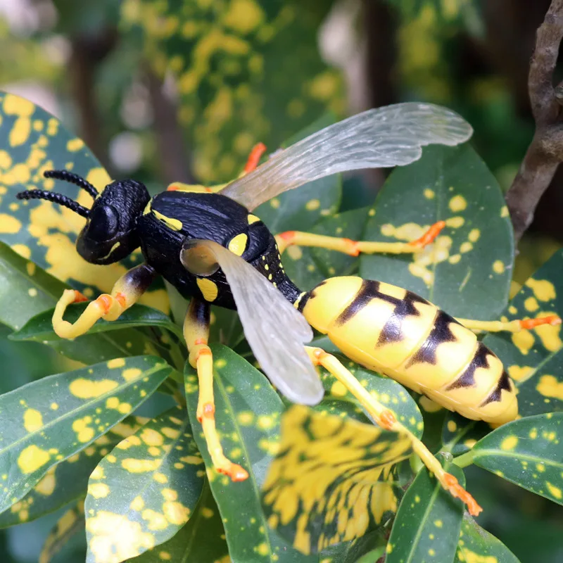 Mô Phỏng Động Vật Loài Côn Trùng Mẫu Nhân Vật Rắn Ong Wasp PVC Thu Nhỏ Nhân Vật Hành Động Trẻ Em Đồ Chơi Giáo Dục Bé Trai Quà