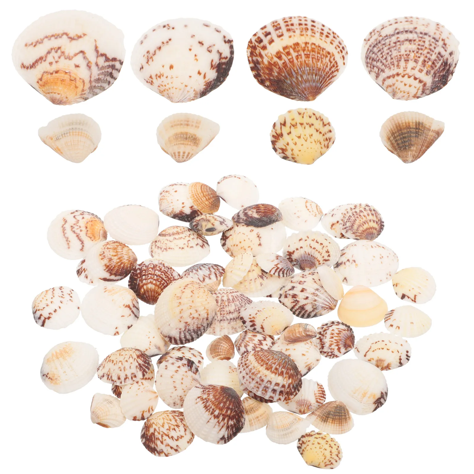 

200g Shell Natural Diy Handicraft Accessory Seashells for Crafting DIY Handicraft Fish Tank Decor Home Decor Pet Supplies