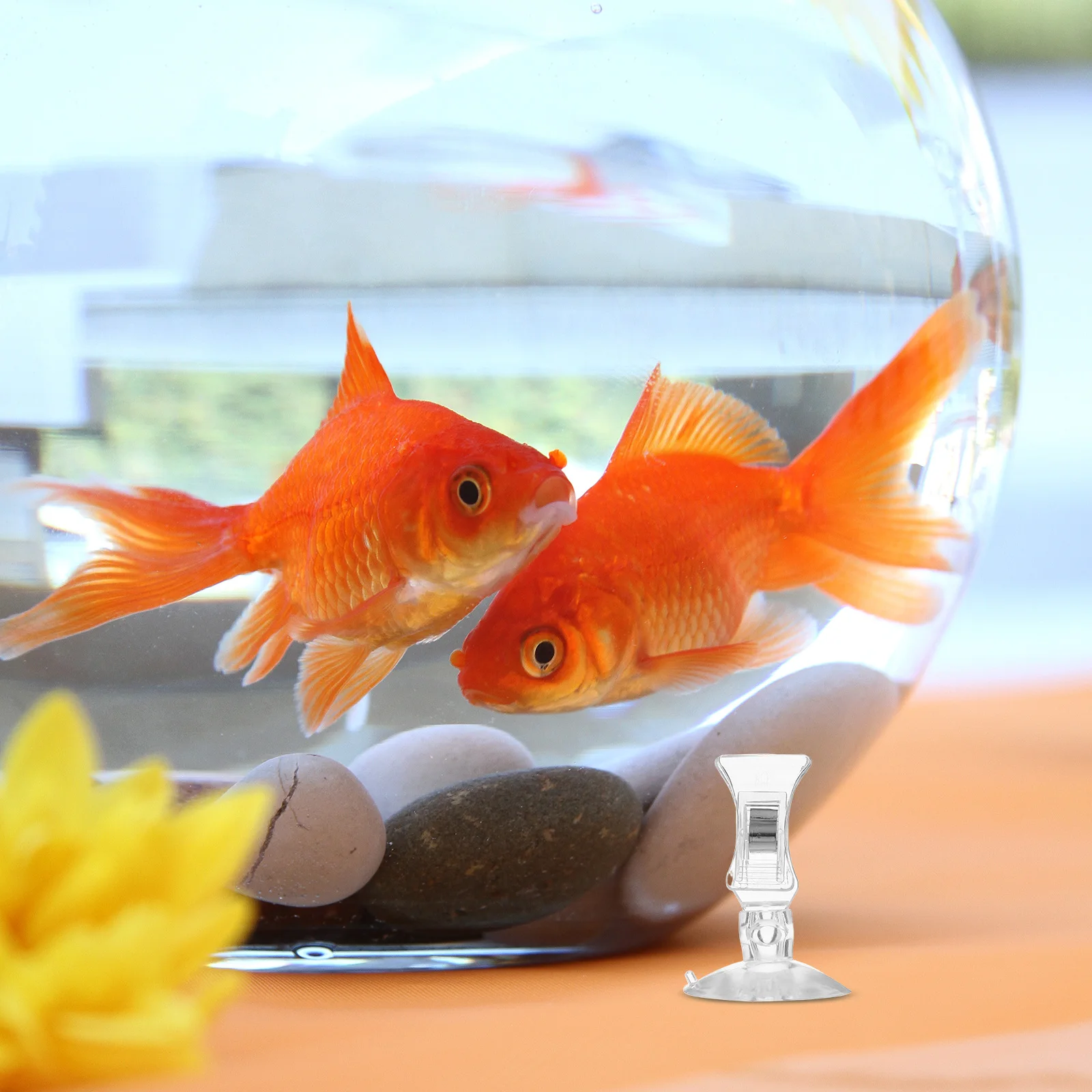 

5pcs Aquarium Fodder Clamps Fish Tank Accessories Feed Clip Seaweed Easy Install Adjust Shape Secure Hold Feeding Tool