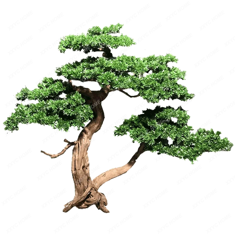 

Simulation Podocarpus Macrophyllus Tree Welcome Beauty Pine Tree Soft Decoration Hallway Landscape Decoration Zen Ornament