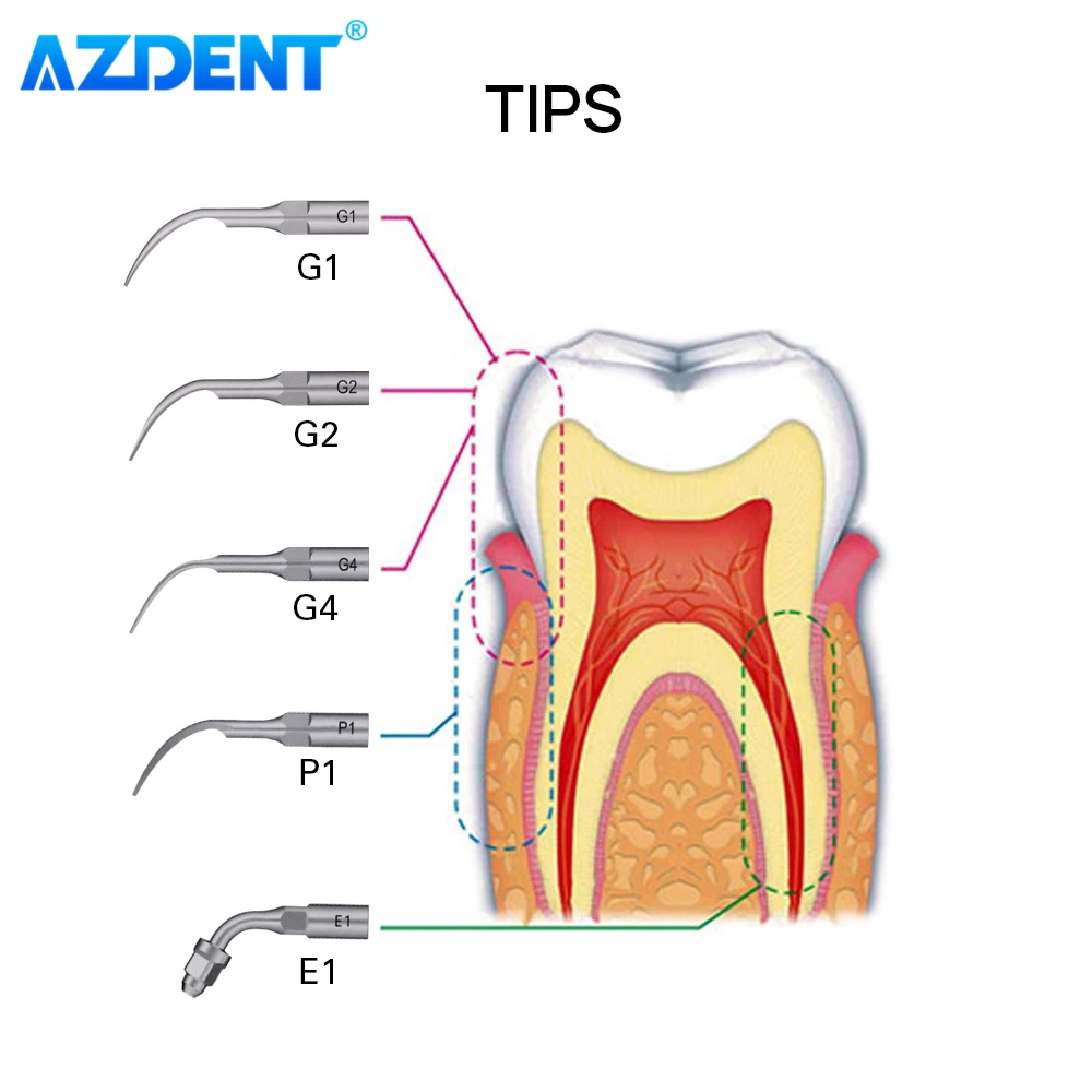 Stomatologiczny skaler ultradźwiękowy skalowanie Perio Endodoncja AZDENT LED odłączana rękojeść Auto woda narzędzia stomatologiczne sprzęt