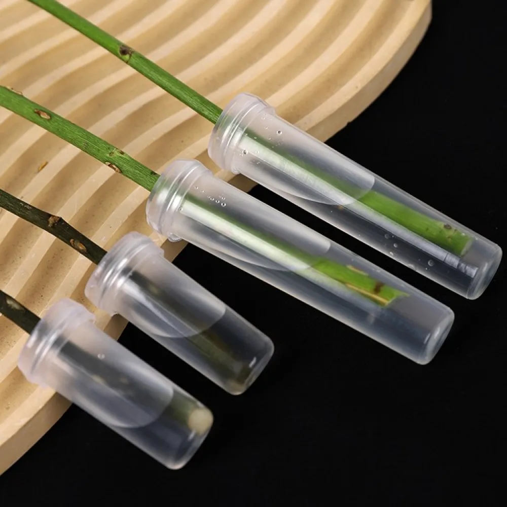 Floral Preservation Water Vials Nutrient Tubes For Cut Flowers Arrangement Home Vase Decoration Florist Necessary Accessory