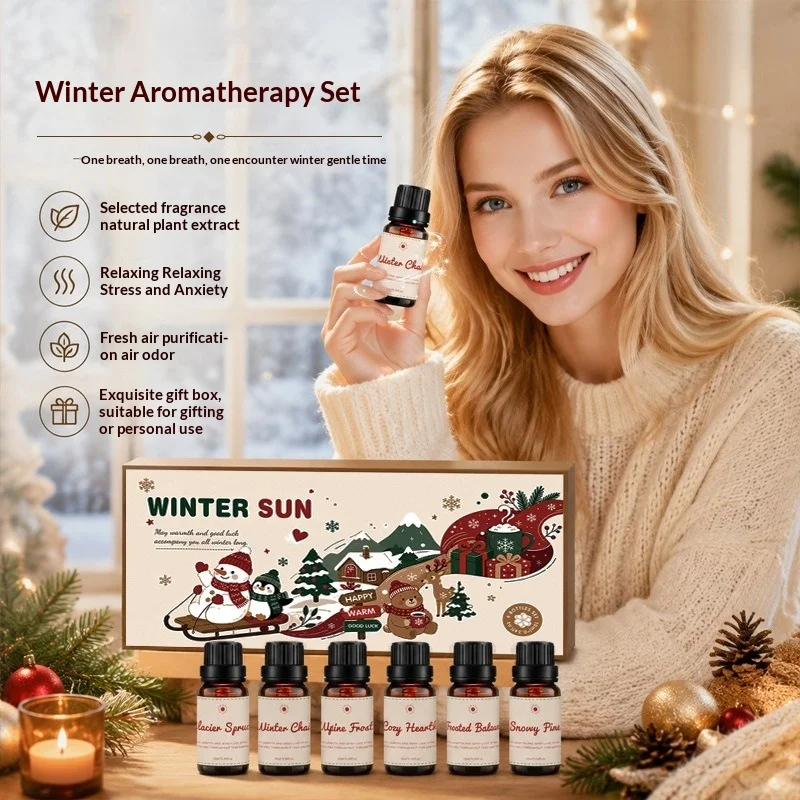 Christmas Aromatherapy Reed Diffuser Oil Gift Set, 6 Fragrances Oil Works for Humidifier & Incense Burner, Winter Scent Kit Gift