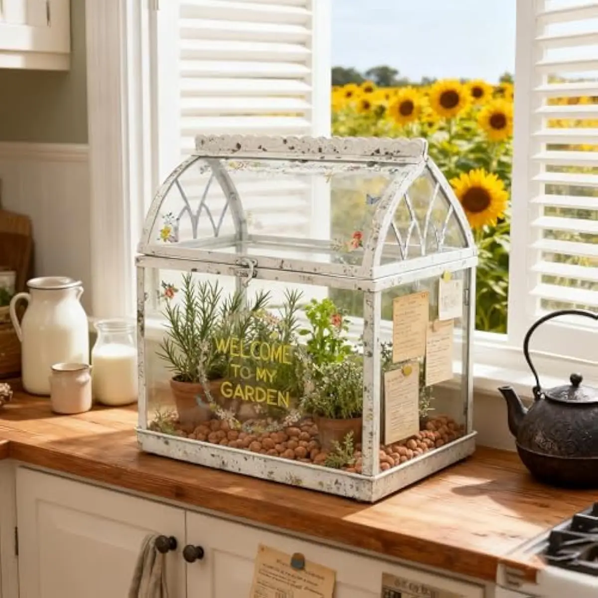 Spacious geometric terrarium crafted from transparent glass featuring angular white frame and secure acrylic top cover ideal for