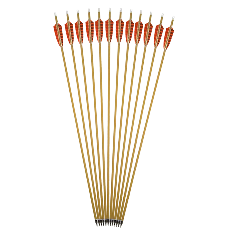 

6/12pcs Archery Pure Carbon Arrow Spine 500 Carbon Arrow Shooting ID6.2mm Turkey Feathers for Recurve Bow Shooting Accessories