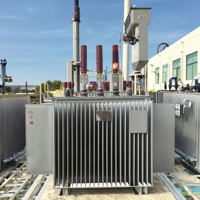 Three Phase Oil Immersed Distribution Transformer 33kV High Efficiency Copper Winding Energy Saving Power Equipment Customized