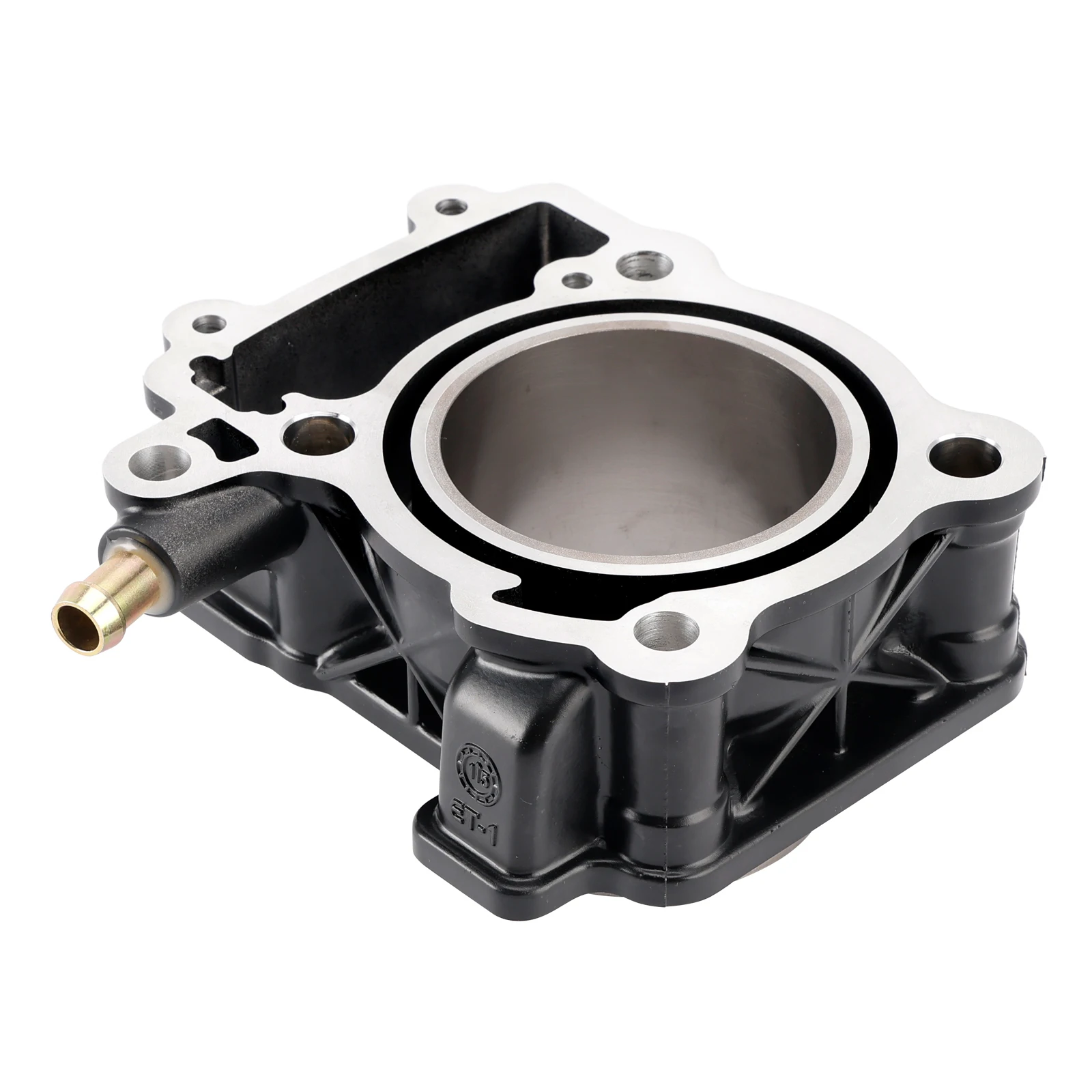 72mm 2012-2023 Wholesale Customizable Bulk Supply Custom OEM Bajaj Pulsar NS200 RS200 AS200 Motorcycle Cylinder Piston Kit