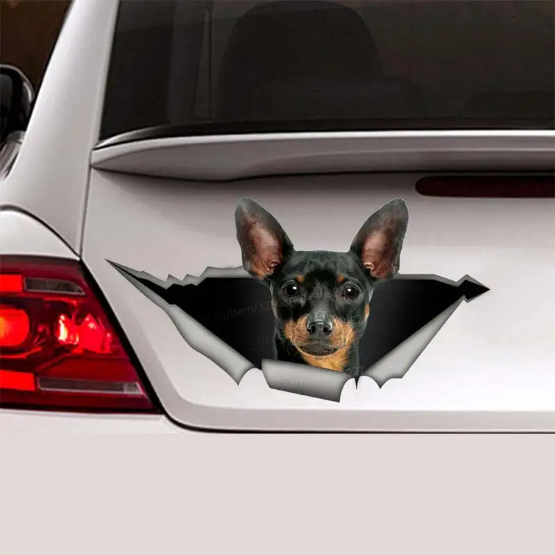 

Pincher dog Pet Car Sticker Waterproof Vinyl Decal on Bumper Rear Window Laptop Self-adhesive Decal For Car Accessories SH275