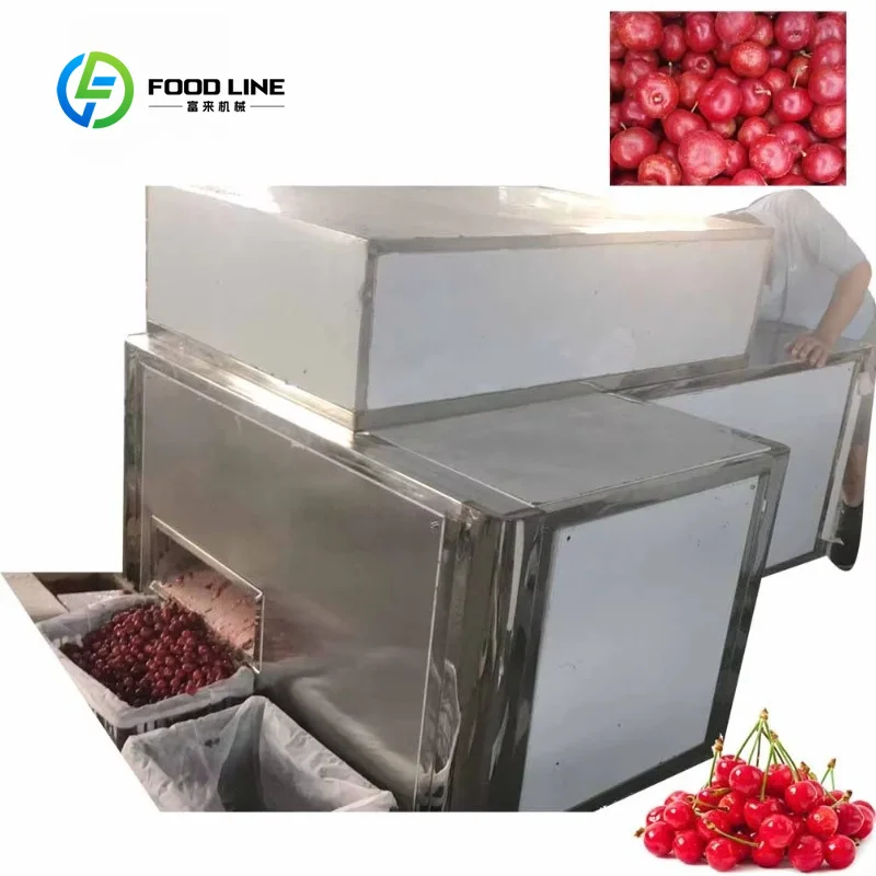 Automatic Industrial Cherry Pitting Machine With Special Design Low Price Cherry Seed Removing Machine FL Customized Wholesale