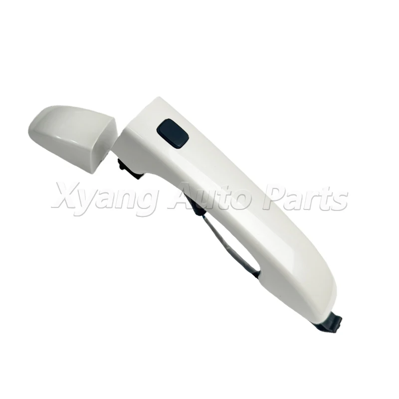 Front Left External Handle Keyless Entry Assembly For JMC GRAND AVENUE DADAO