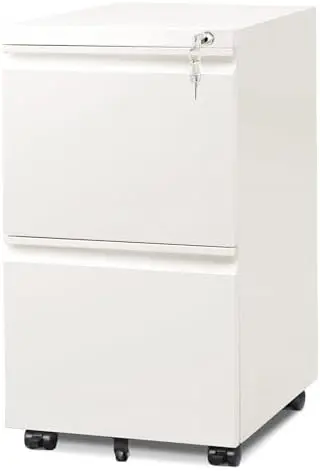 2 Drawer Mobile File Cabinet with Lock, Commercial Vertical Metal Filing Cabinet for Home Office, Fully Assembled