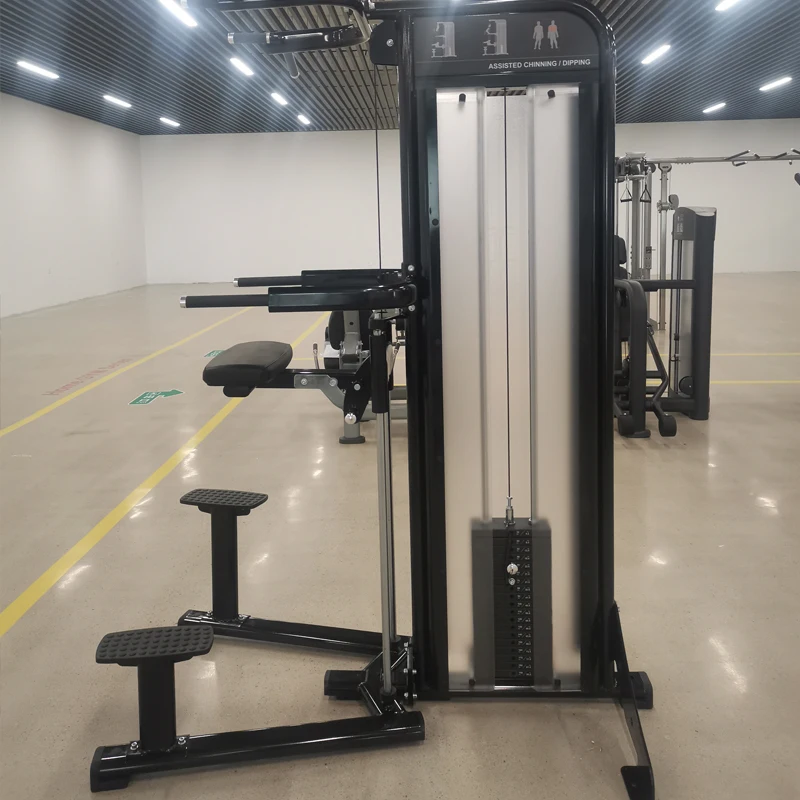 Training Equipment Bodybuilding Abdominal Exercise Vertical Knee Chin up Dip Leg Lift Raise Machine for Sale