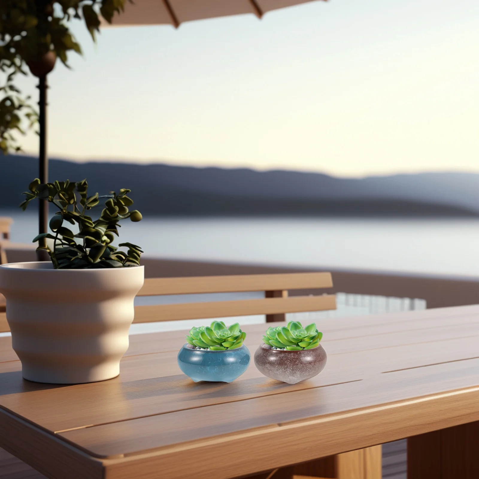 

2Pcs Ceramic Succulent Pot Shallow Round Planter for Home Office Balcony Tabletop Decor Shallow Ceramic Plant Pots