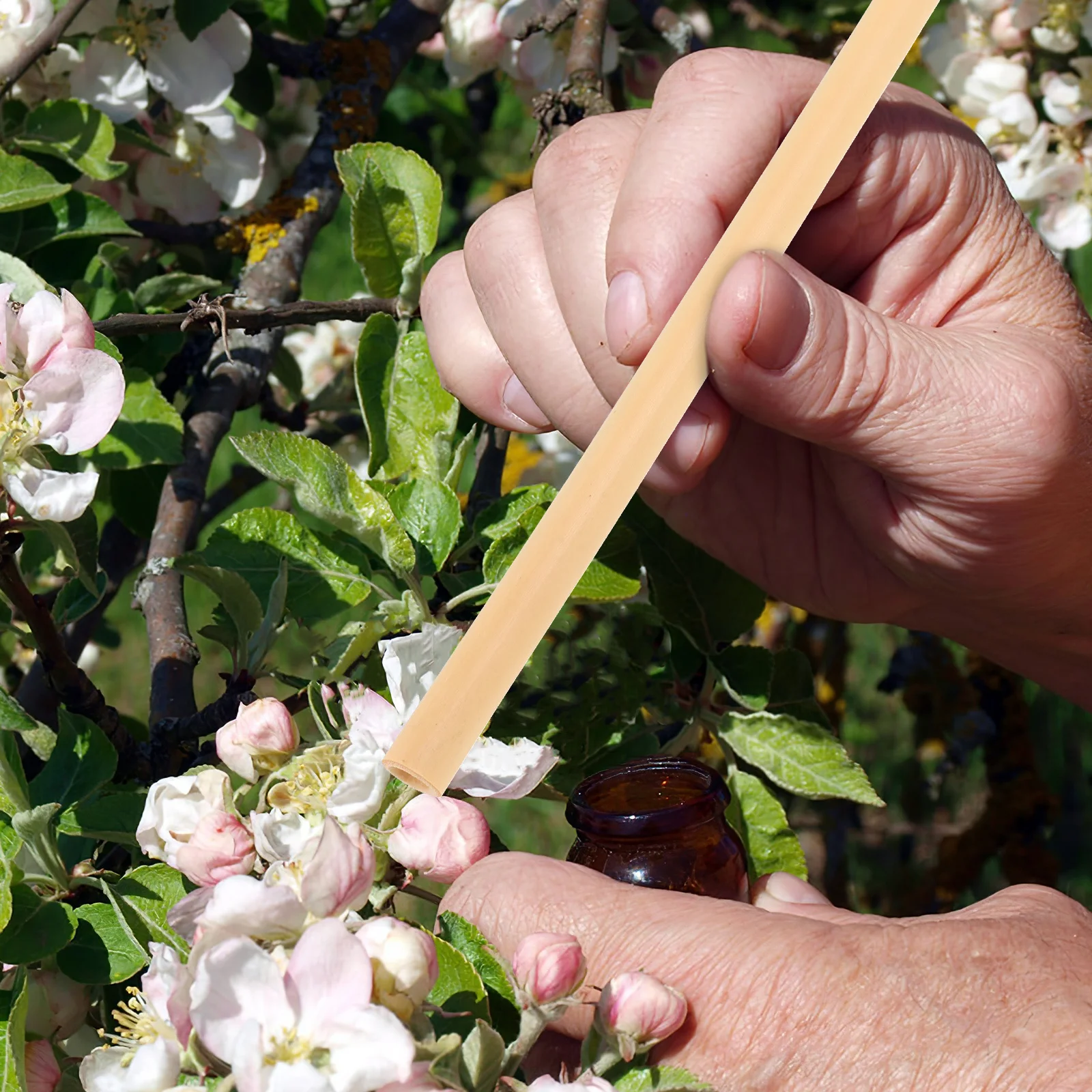 

10Pcs Natural Bee Tubes Sturdy Trustworthy Easy Operation DIY Beehive Garden Balcony Courtyard Beekeeper Essentials