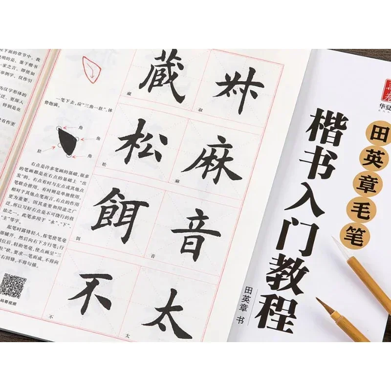 Chinese Calligraphy Book Tian Yingzhang Regular Script Tutorials Copybook