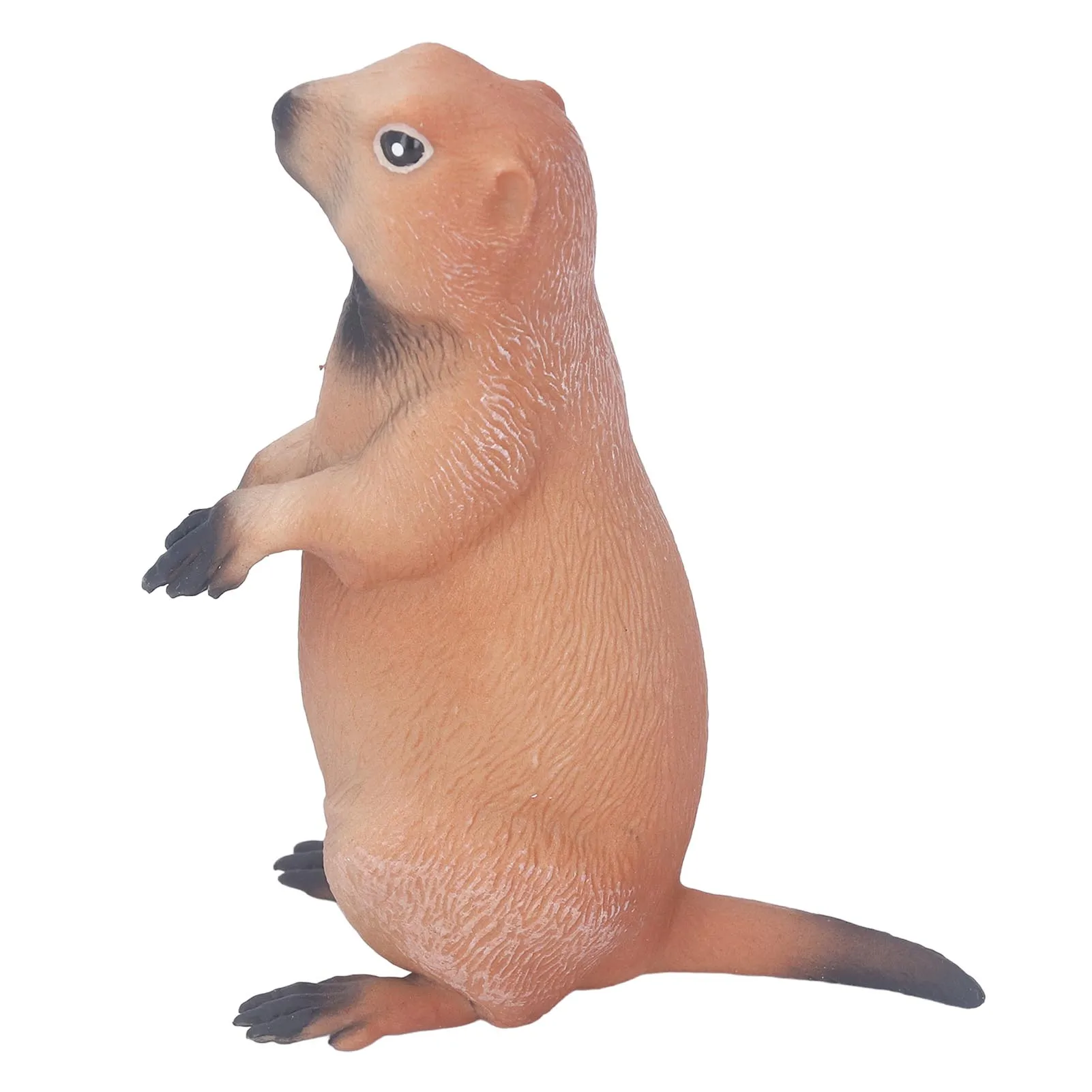 ZK40 Groundhog Statue Toy Wild Animal Figurine Model Simulation Animal Plastic Sculpture for Home Decoration Kids Education