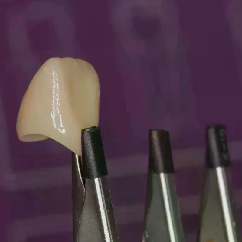 Dental Ceramist Hex Clamps Six-Tooth Clips for Glazing Porcelain Auxiliary Tool Technician Laboratory