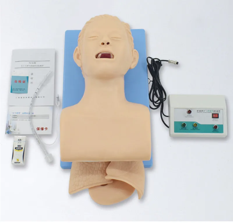 Intubation dummy study teaching model Airway management PVC trainer with teeth  Adult first aid training tudy teaching model