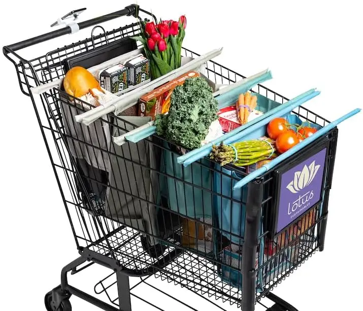 

Earth Tone Reusable Shopping Bags 4-Pack with Insulated Bag & Egg/Wine Holder - Foldable, Washable Tote for Easy Storage