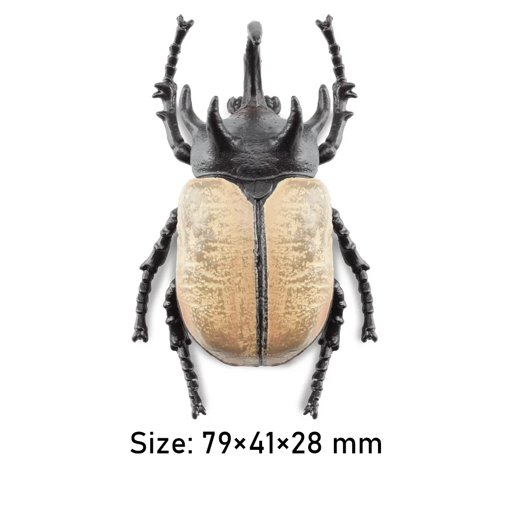 Toymany محاكاة الحشرات وخمسة قرون وحيد القرن خنفساء نماذج للحيوانات لعبة شخصيات صغيرة دمى عمل التماثيل لعب الأطفال هدية